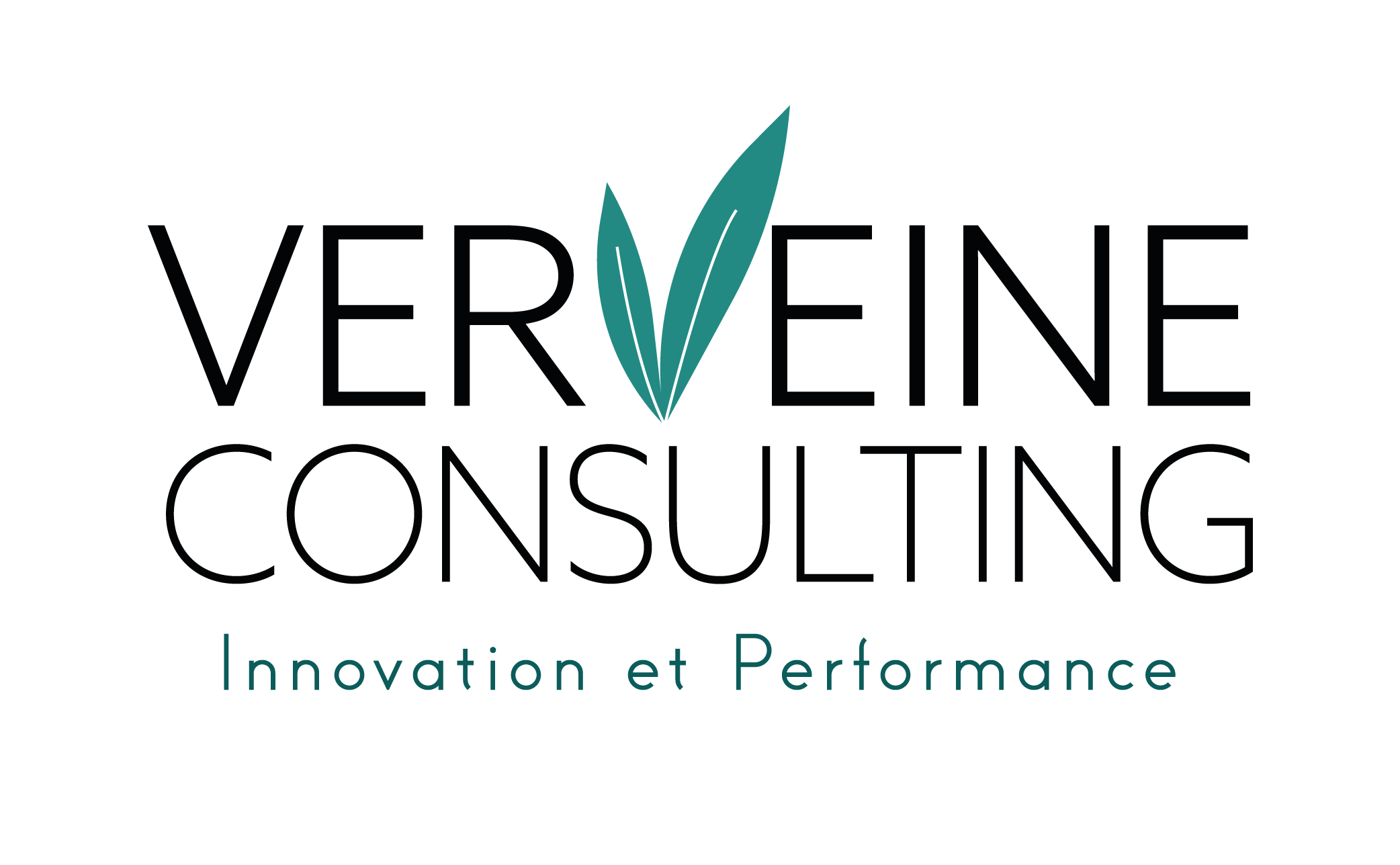 Verveine Consulting CMJN